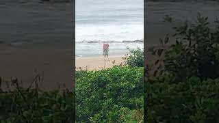 Mama  praying at the Beach