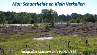 Schansheide en Klein Verkallen