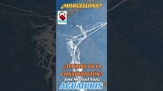 🛑☣️¿TELAS DE ARAÑA VOLADORAS O MORGELLONS?☣️🛑