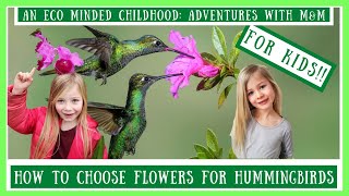 How To Choose Flowers For Hummingbirds (For Kids!) | Hummingbird Gardening With Kids