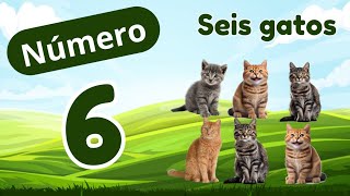 Número 6| NÚMEROS para CRIANÇAS - Aprendendo os NÚMEROS