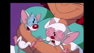 Pinky, Felícia e o Cérebro - abertura e encerramento