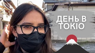 Покупки в японській аптеці. Підготовка до тесту. Суші ресторан. Влоґ