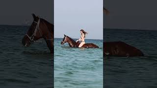 Beach horse riding Dubai #musica #horseriding #horsebackriding #horsebackriding #love