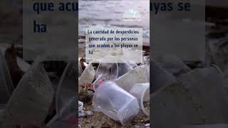 ¿Limpias tus playas? Anímate y haz tu parte