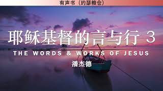 耶稣基督的言与行 3 The Words & Works of Jesus Christ | 潘杰德 | 有声书