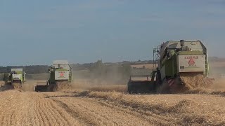 žatva//harvest//2022//claas,new holland, forschrit