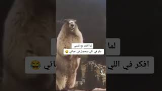 لم أقعد مع نفسى وأفكر فى اللى بيحصلى فى حياتى تكون دى النتيجة 🤪😜😍