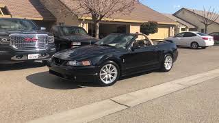 2001 SVT Cobra Convertible w/ 40k MILES!