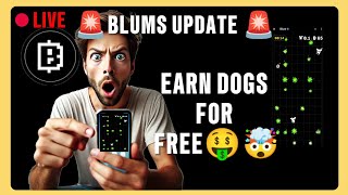 Blum Dog Drop Game is LIVE! Unlock Big Crypto Rewards – Don’t Miss Out!