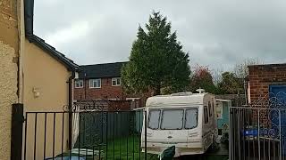 unedited conifer tree removal in Aldershot (CUTTING AND WORK STARTS AT 20:00