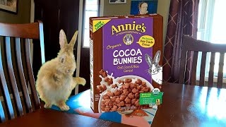 Cerealeece | Annie's Organic Cocoa Bunnies Cereal