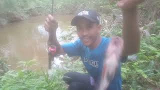 mancing ikan nila babon liar terbanyak...