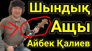 Тыйым Салынған Шындықты Айтып Жаңаөзенді Шулатты. Айбек Қалиев Шындық Айтыс