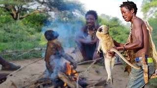 Hadzabe Tribe's Survival: Hunting For Food | Hunt, Cook, And Live As Hunters