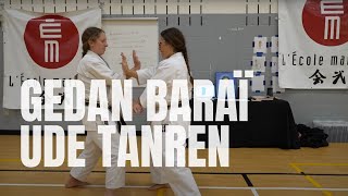 Goju Gedan baraï ude tanren, L'École martiale, Karaté-do goju-ryu