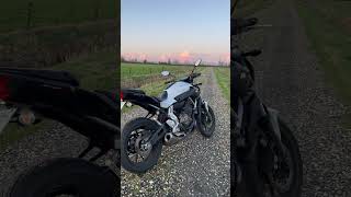 White MT-07 in the sunset❤️‍🔥 #mt07 #bikelife #yamaha #fz07 #pearlwhite #motorcycle