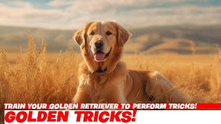 Train Your Golden Retriever to Perform Tricks!