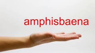 How to Pronounce amphisbaena - American English