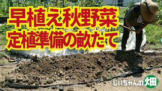 早植え秋野菜の畝づくり。有機肥料だと最低20日寝かせなければいけないので、今回は化成肥料にしました。9/4