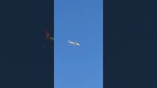 Turkish Airlines flight to Istanbul #planespotting #viral #turkishairlines #shorts