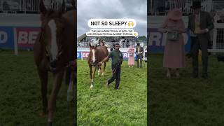 This horse is a LEGEND and can do it all 🤩 #horse #horserace #epsomraces #epsomderby