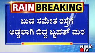 ಬುಡ ಸಮೇತ ರಸ್ತೆಗೆ ಅಡ್ಡಲಾಗಿ ಬಿದ್ದ ಬೃಹತ್ ಮರ | Chikkaballapura | Public TV