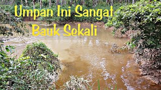 mancing ikan baung disungai umpan "KUCUR"