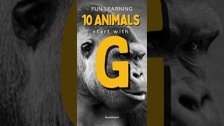 10 Giggly Animals Starting with 'G'! #abcanimals #shorts #lalalikidstv