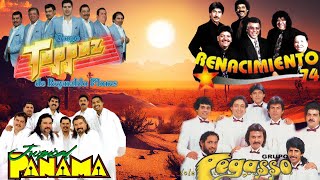 🎶Renacimiento 74 ✨Grupo Pegasso ✨Tropical Panama✨Grupo Toppaz Mix Cumbias Para Bailar