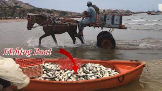 Fishing boats 🚤 Horse 🐎 after loading fishies going Amazing 🤩