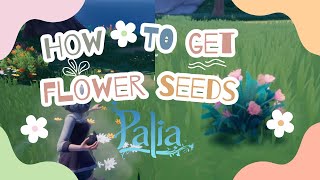 Quick Guide: Obtaining FLOWER SEEDS in Palia + Tips! #palia