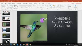 PowerPoint del 5, flytta och ta bort