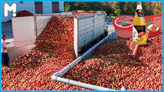 🍎 How Apple Juice Is Made In Factory - Modern Apple Juice Processing Line Technology - Food Factory