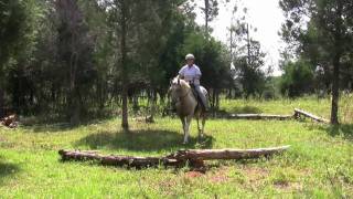 Green Cedars Farm - Horse Trail Rides and Obstacle Course