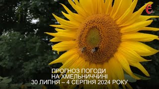 Прогноз погоди на 30 липня - 4 серпня 2024 року в Хмельницькій області від Є ye.ua