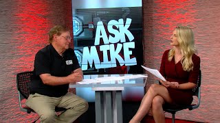 Ask Mike: Defending Taylen Green, Mr. Freeze Gets Ripped & Where Are the Hogs' T.E.'s?