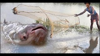 wow Amazing Fishing - Cambodia Traditional fishing - How to Catches Fish (Part 129)