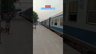 05034 | Barhni-Gorakhpur Demu | Arriving On Nakaha Jungle | #shorts #demutrain #indianrailways #icf