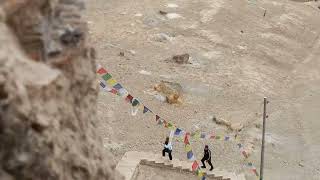 Shelker cave musium of lo- manthang Mustang