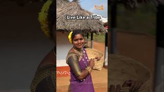 Giri grama darshini అరకు Tribals తో  Dance #araku #trending #tribal #viral #arakuvalley #vizag