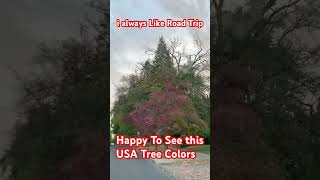 USA 🇺🇸 Tree Colors Makes me Happy To See