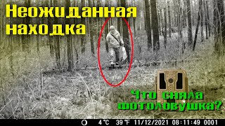 НЕОЖИДАННАЯ НАХОДКА на КОПЕ. ЧТО СНЯЛА ФОТОЛОВУШКА? ПЕРВЫЕ КАДРЫ!  Коп монет онлайн с Rutus Alter 71