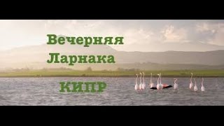 Вечерняя Ларнака, Кипр