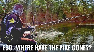 Episode 60 - Where have the Pike gone??