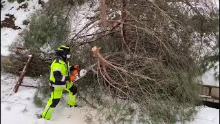 Bomberos de Madrid trabajan tras el paso de Filomena. ¡Gracias por vuestro trabajo!