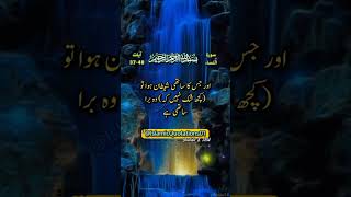 Surah Nisa urdu translation beautfull voice