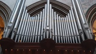 Flight of the Bumblebee on the organ of Salisbury Cathedral