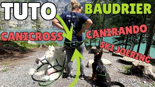 Tuto : Baudrier Aircross pour Cani-Rando, Cani-Cross & Ski Joëring 🐾