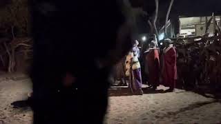 Maasai Celebration. Tarangire Treetops Tanzania, Africa